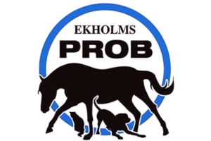 Ekholms